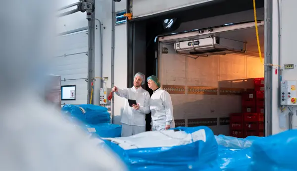 Van Loon21 12 2021 Epsilon Studios Ektor Tsolodimos (29 Van 30)